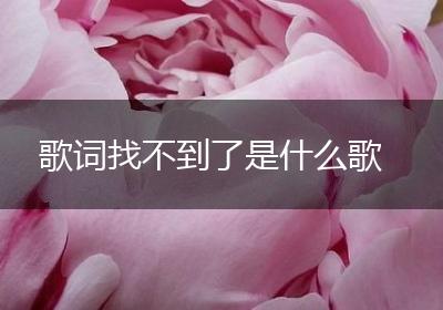 歌词找不到了是什么歌