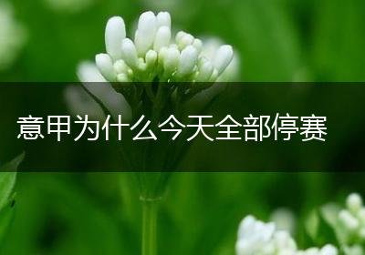 意甲为什么今天全部停赛