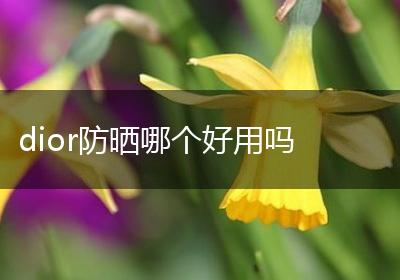 dior防晒哪个好用吗