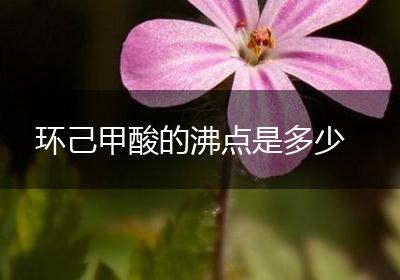 环己甲酸的沸点是多少