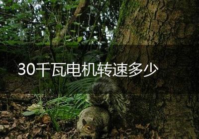 30千瓦电机转速多少