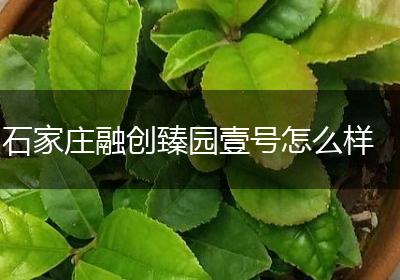 石家庄融创臻园壹号怎么样