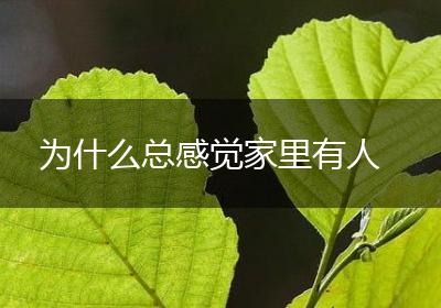 为什么总感觉家里有人