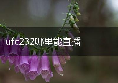 ufc232哪里能直播
