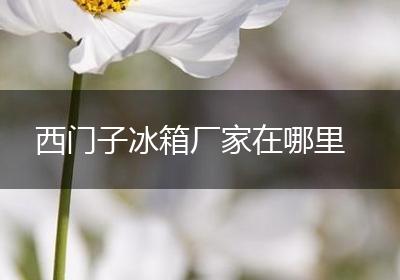西门子冰箱厂家在哪里