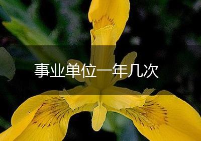 事业单位一年几次