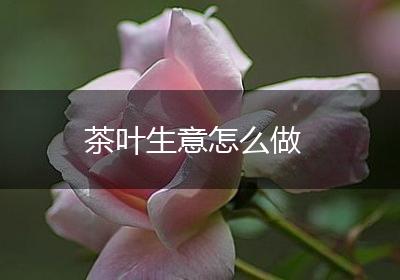 茶叶生意怎么做
