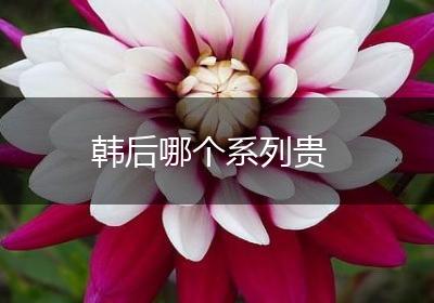 韩后哪个系列贵