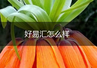 好易汇怎么样