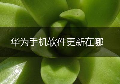 华为手机软件更新在哪