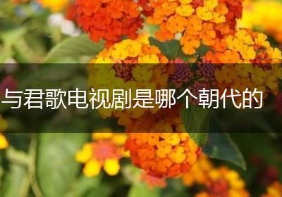 与君歌电视剧是哪个朝代的