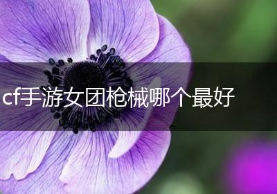 cf手游女团枪械哪个最好