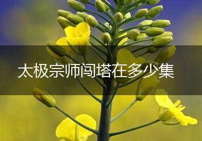 太极宗师闯塔在多少集