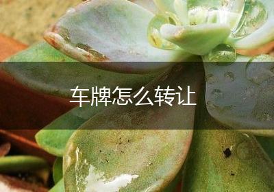 车牌怎么转让