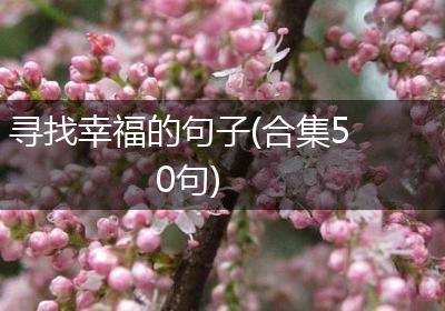 寻找幸福的句子(合集50句)