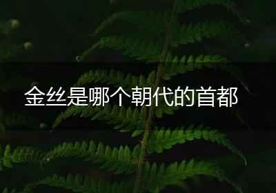 金丝是哪个朝代的首都