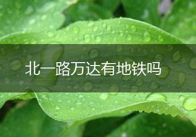 北一路万达有地铁吗