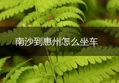 南沙到惠州怎么坐车