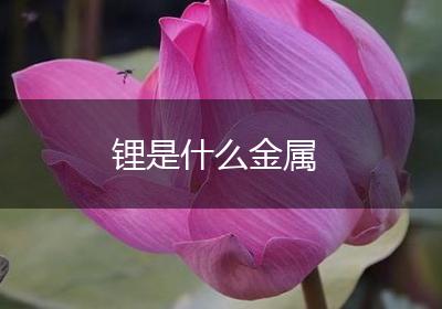 锂是什么金属