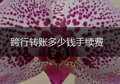 跨行转账多少钱手续费