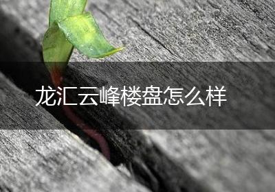 龙汇云峰楼盘怎么样