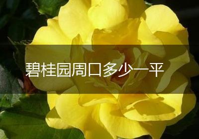 碧桂园周口多少一平