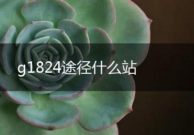 g1824途径什么站