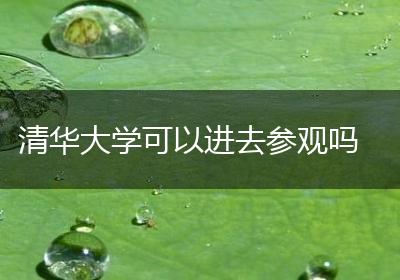 清华大学可以进去参观吗