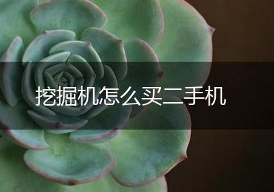挖掘机怎么买二手机