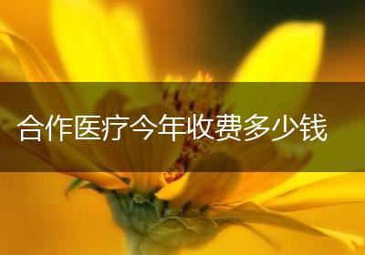 合作医疗今年收费多少钱