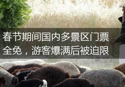 春节期间国内多景区门票全免，游客爆满后被迫限流：分时段售票、暂停营业、交通管制