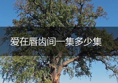 爱在唇齿间一集多少集
