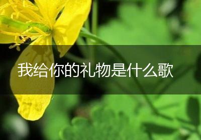 我给你的礼物是什么歌