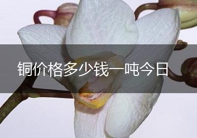 铜价格多少钱一吨今日
