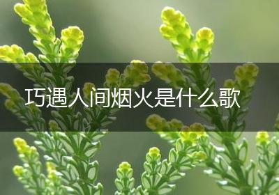 巧遇人间烟火是什么歌