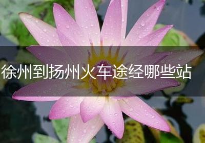 徐州到扬州火车途经哪些站