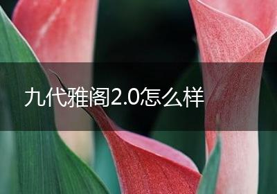九代雅阁2.0怎么样