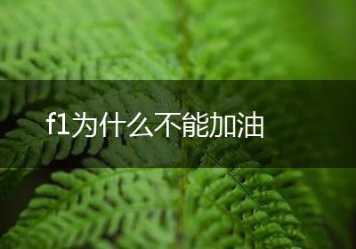 f1为什么不能加油