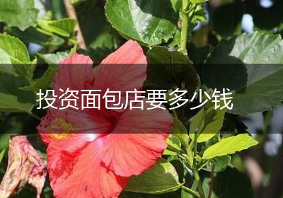 投资面包店要多少钱