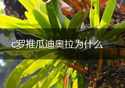 c罗推瓜迪奥拉为什么