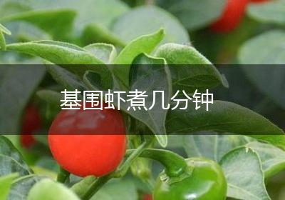基围虾煮几分钟