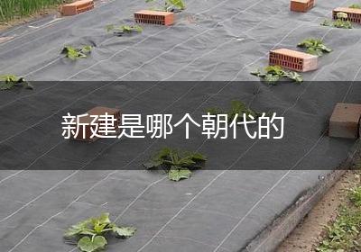 新建是哪个朝代的