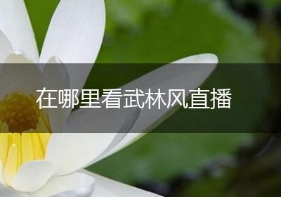 在哪里看武林风直播