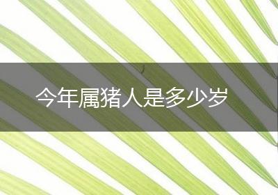 今年属猪人是多少岁