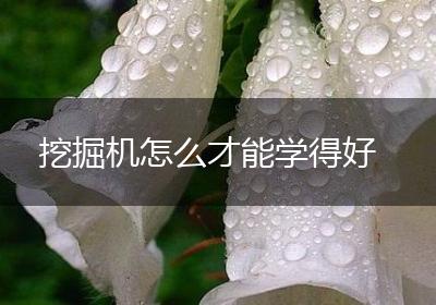 挖掘机怎么才能学得好