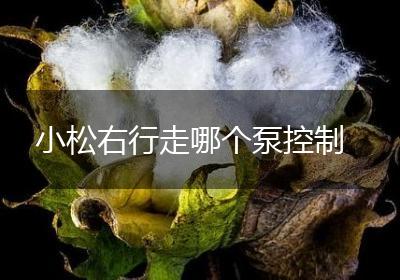 小松右行走哪个泵控制