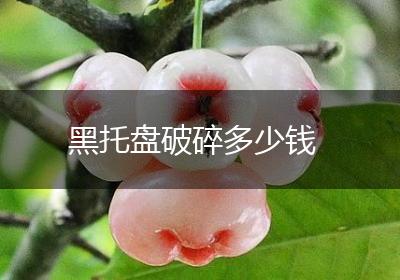 黑托盘破碎多少钱