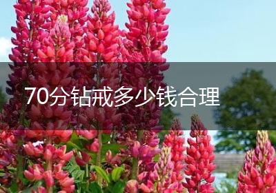 70分钻戒多少钱合理