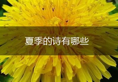 夏季的诗有哪些