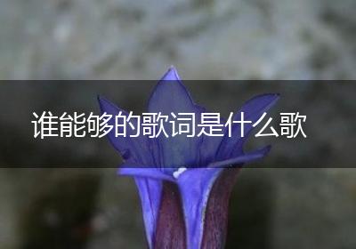 谁能够的歌词是什么歌